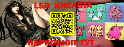 спиды Краснознаменск