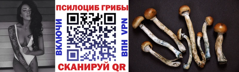 Галлюциногенные грибы мицелий даркнет сайт Сегежа