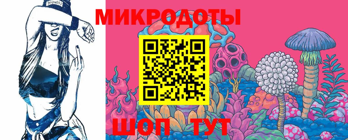 Галлюциногенные грибы Psilocybine cubensis  Вход с VPN  Сегежа 